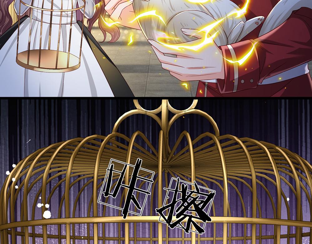 第176话 这只猫有问题27