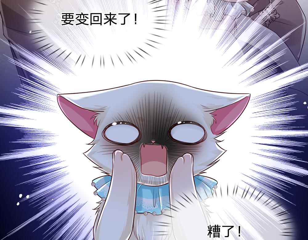 第155话 被光选中的喵13