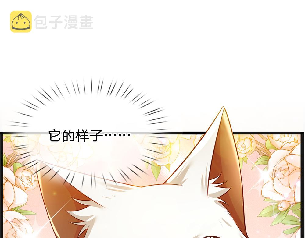 第186话 柔软的一面37