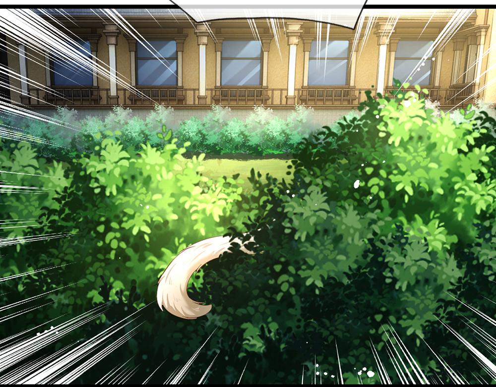 第176话 这只猫有问题19