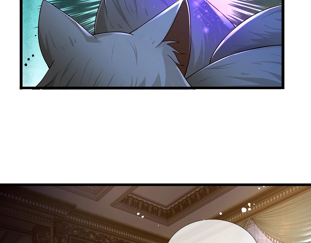 第176话 这只猫有问题66