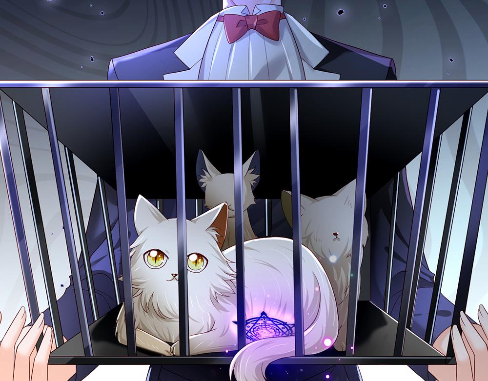 第176话 这只猫有问题69