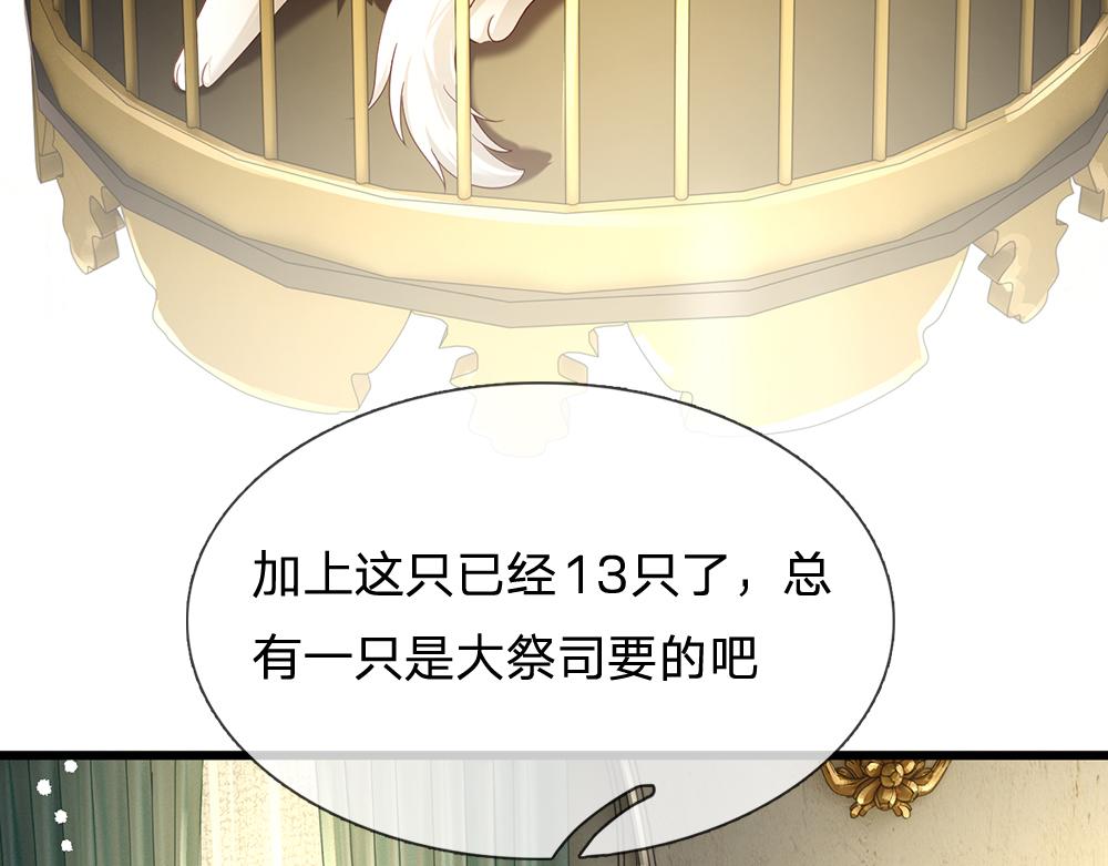 第176话 这只猫有问题29