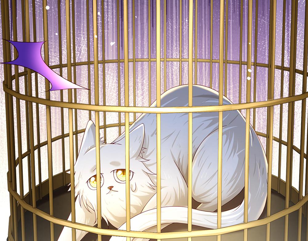 第176话 这只猫有问题28