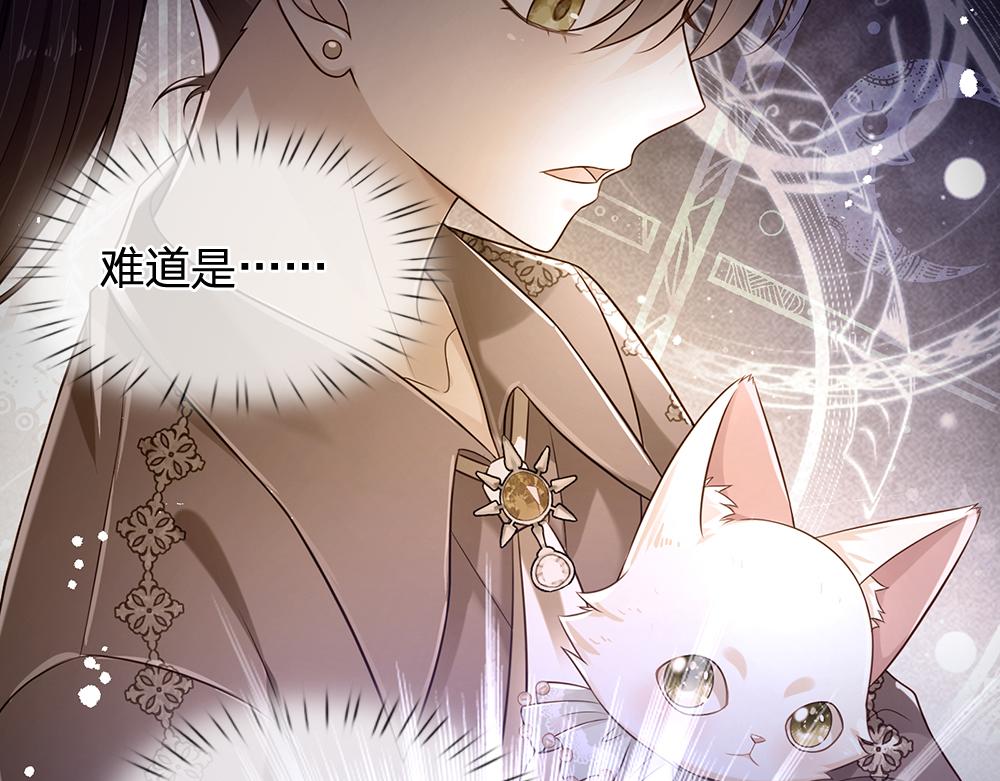 第155话 被光选中的喵12