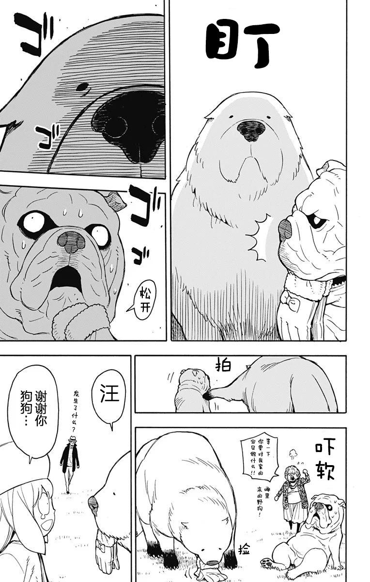 其他版2316