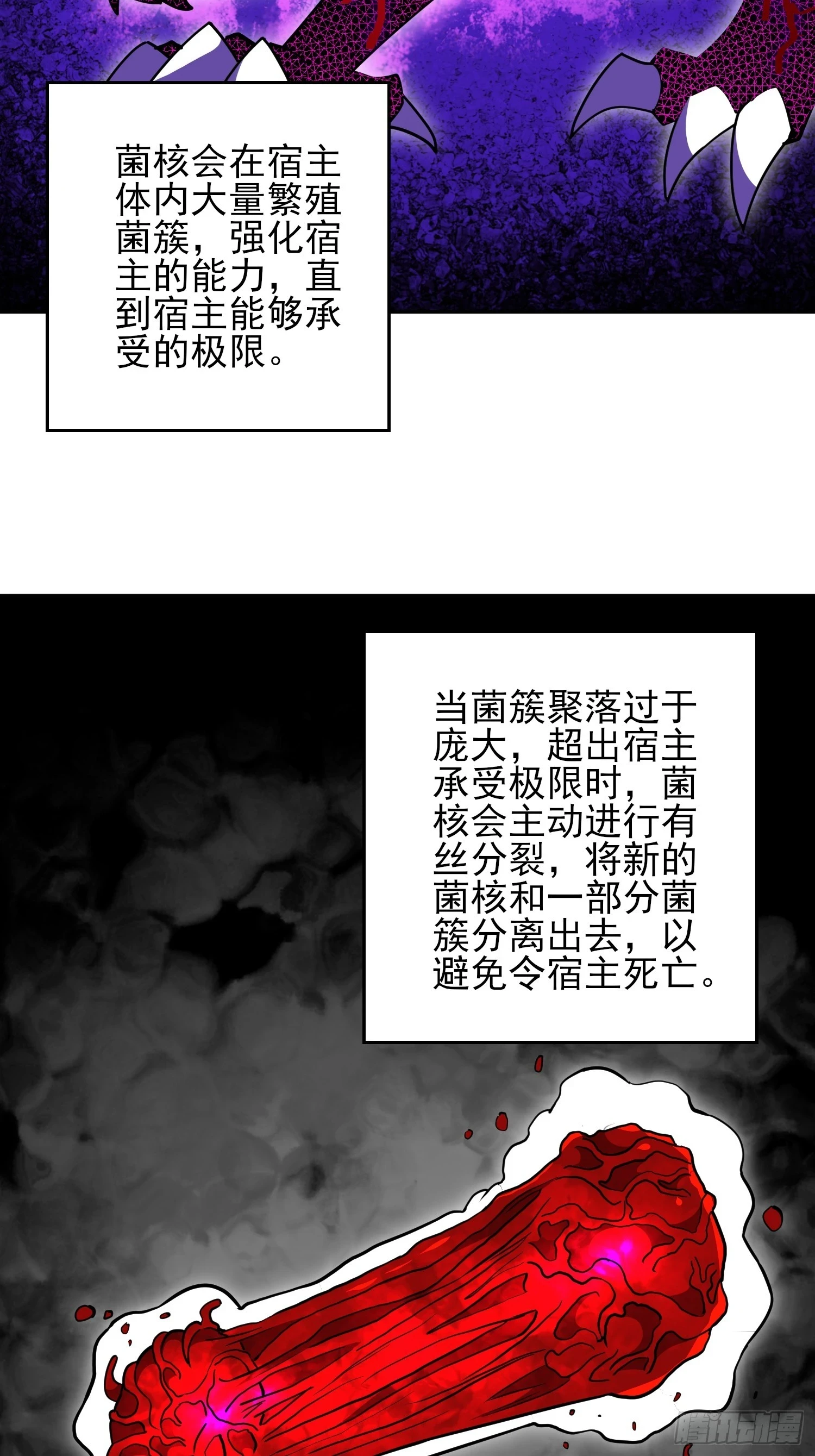 第146话 血纹花22