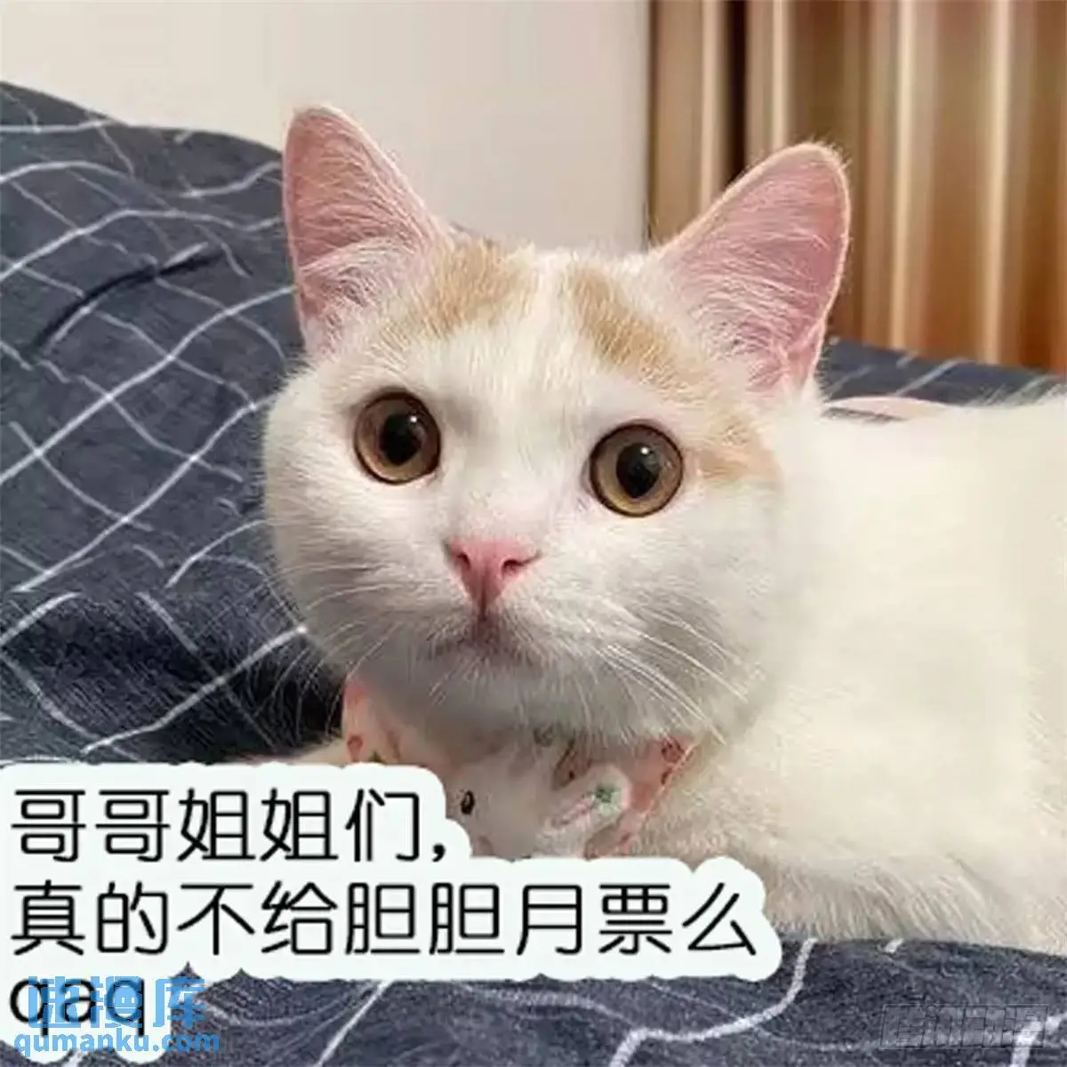 232话 成年孟超57