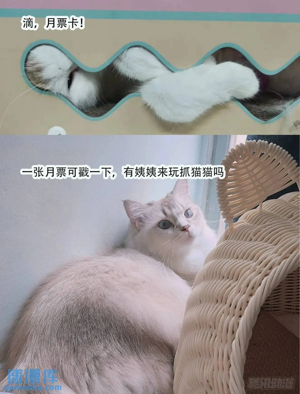 第221话 英雄救美46