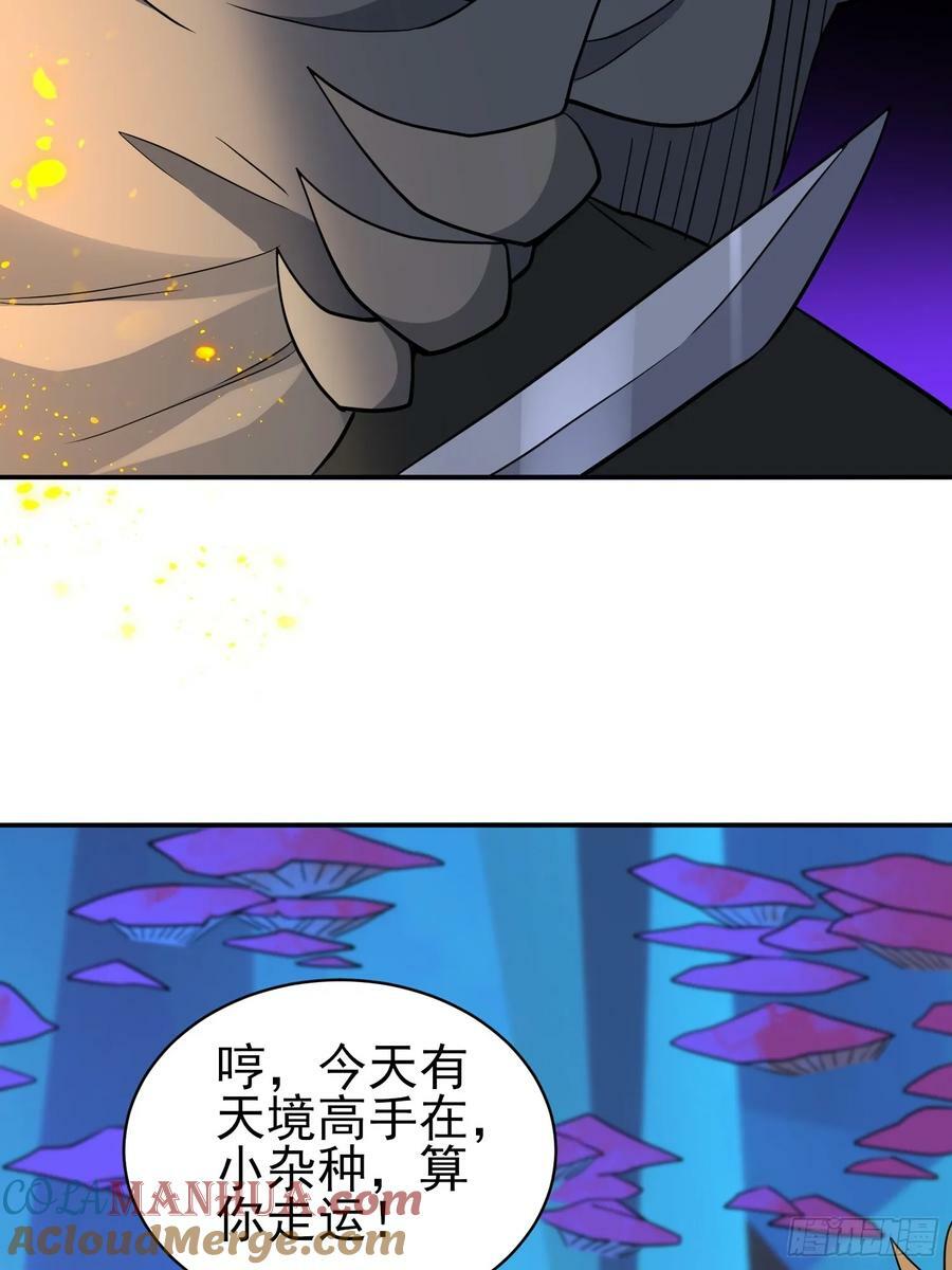 第167话 申玉龙6