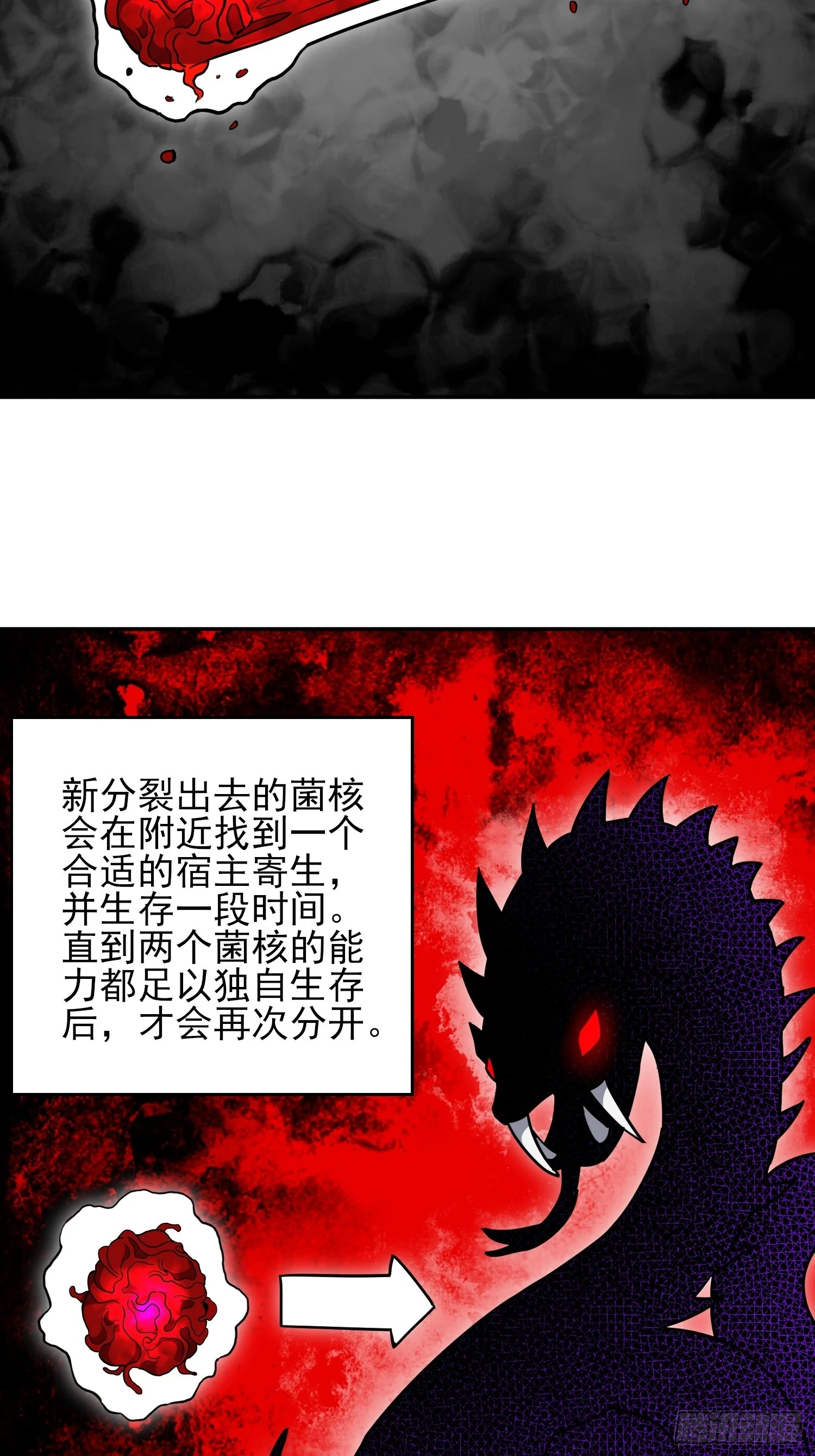 第146话 血纹花23