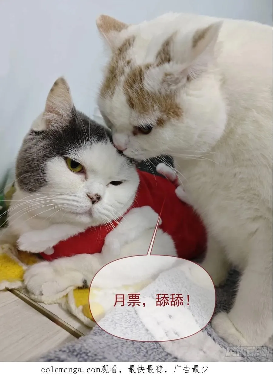 第242话 宁朗的过往56