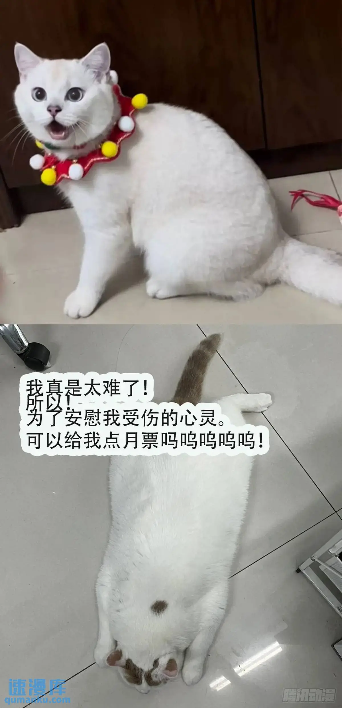第225话 生死未卜44