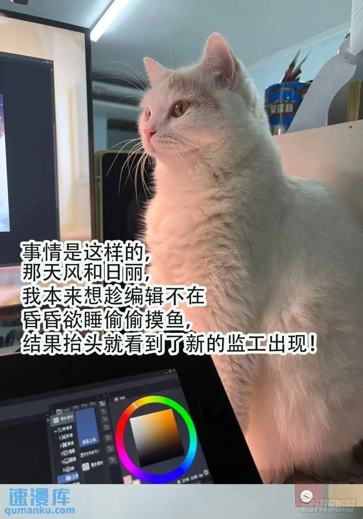 第225话 生死未卜42