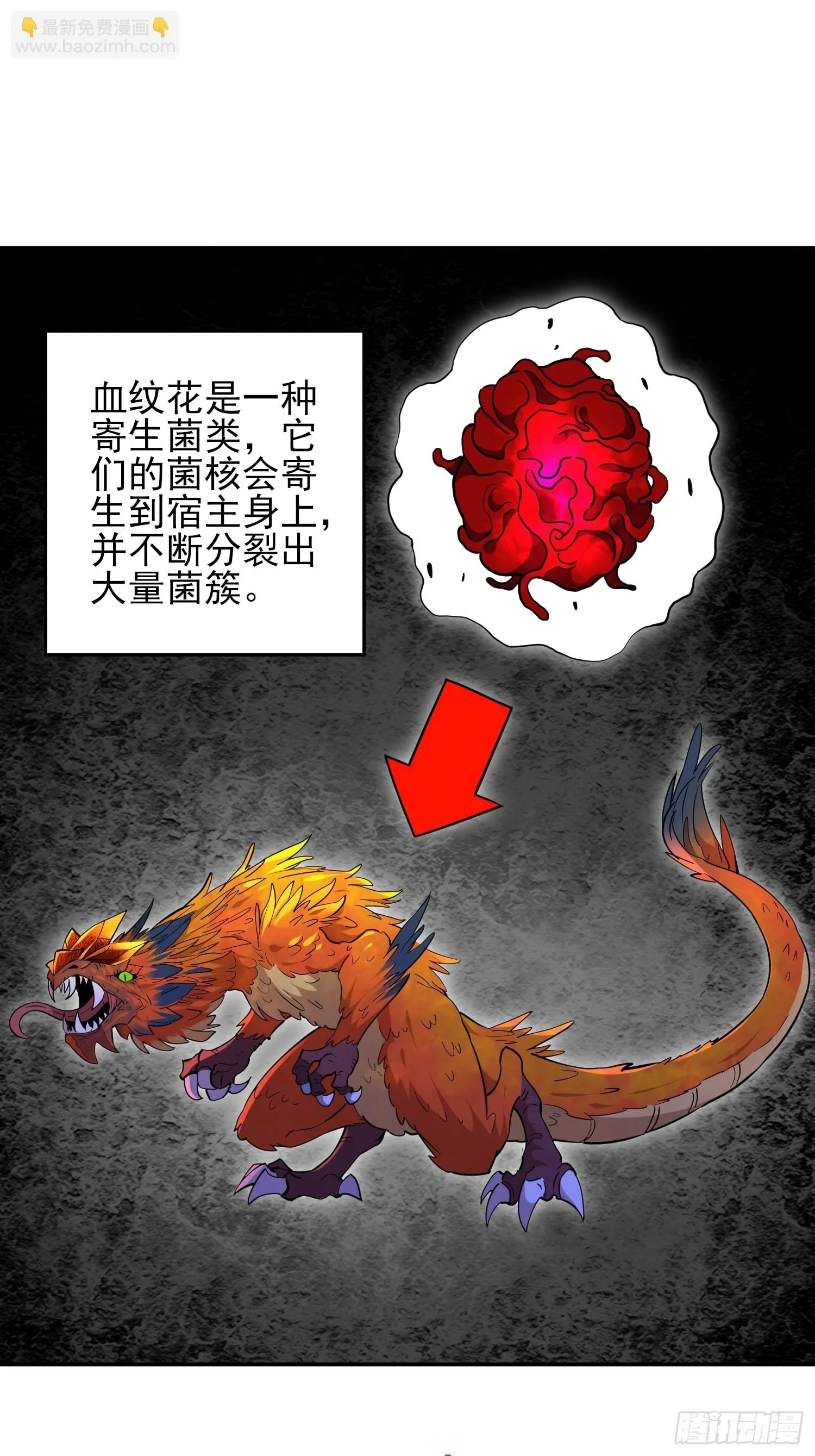 第146话 血纹花20