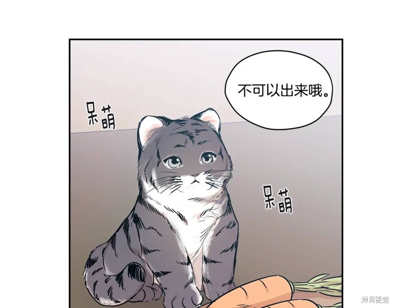 番外229
