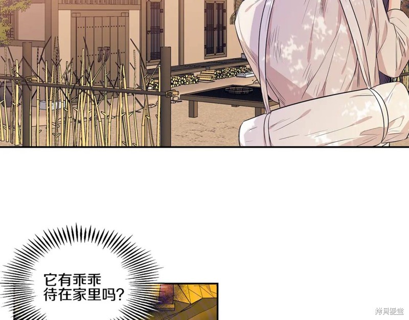 番外248