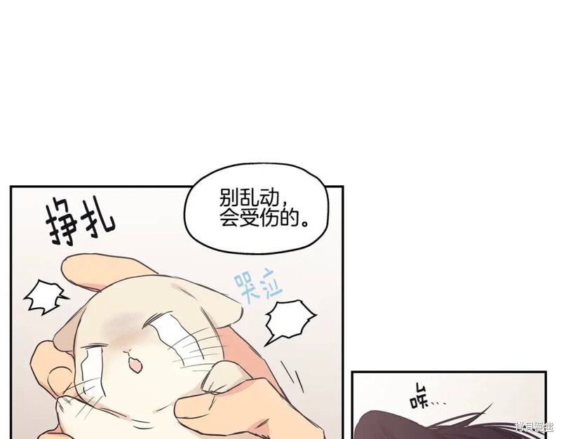 番外527