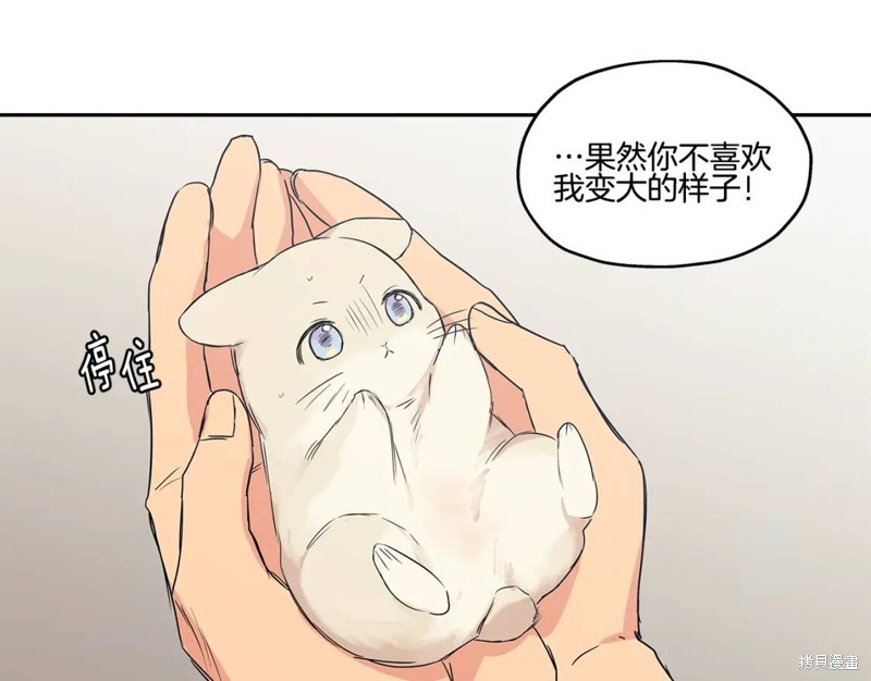 番外530