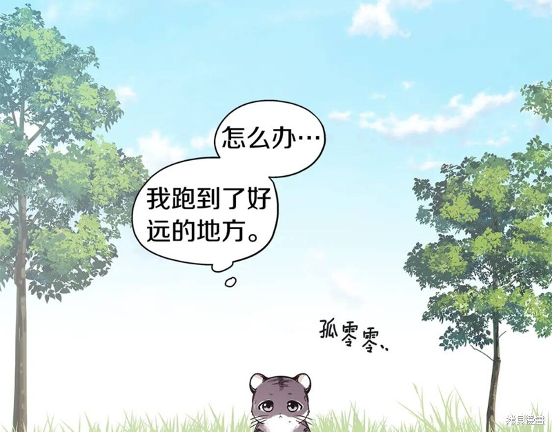 番外772