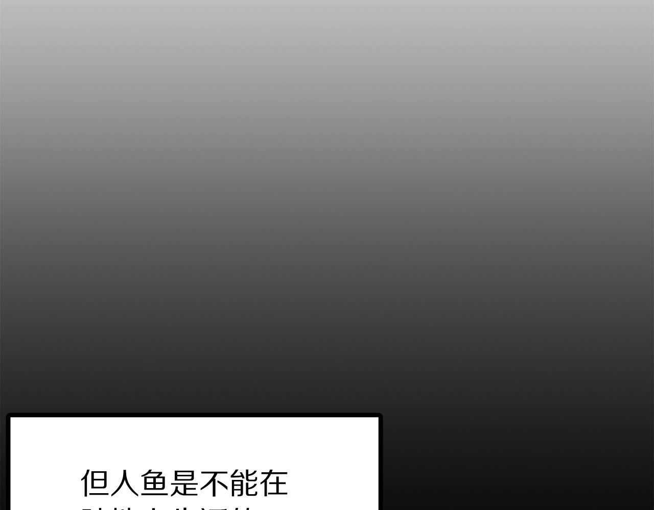 第51话 大海的主人13