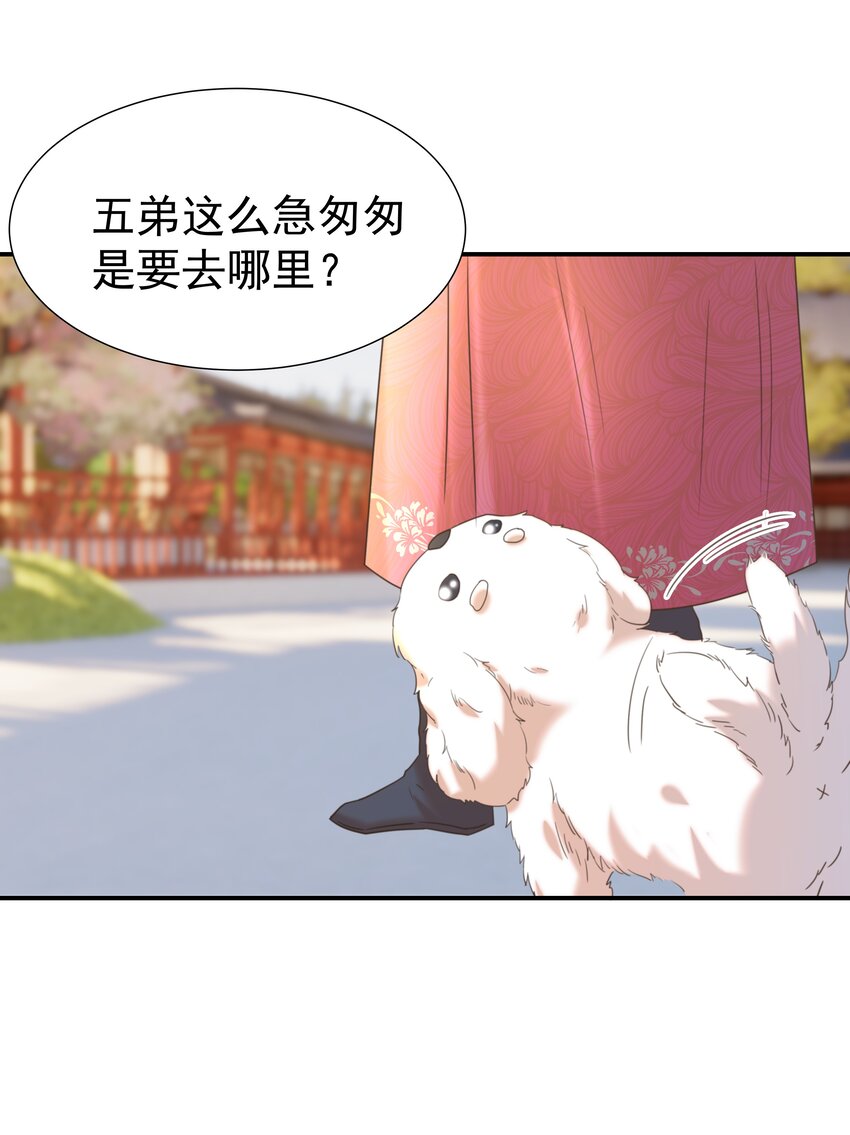 065 还要帮宿主谈恋爱？41