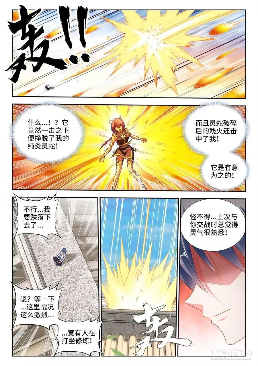 436、纯炎灵蛇10
