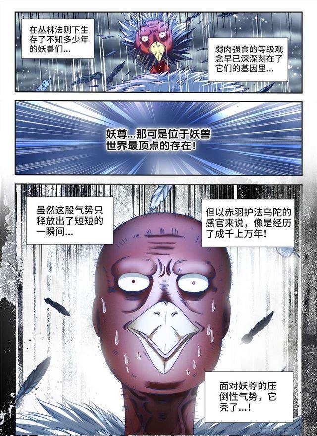 337、妖尊大人！？8