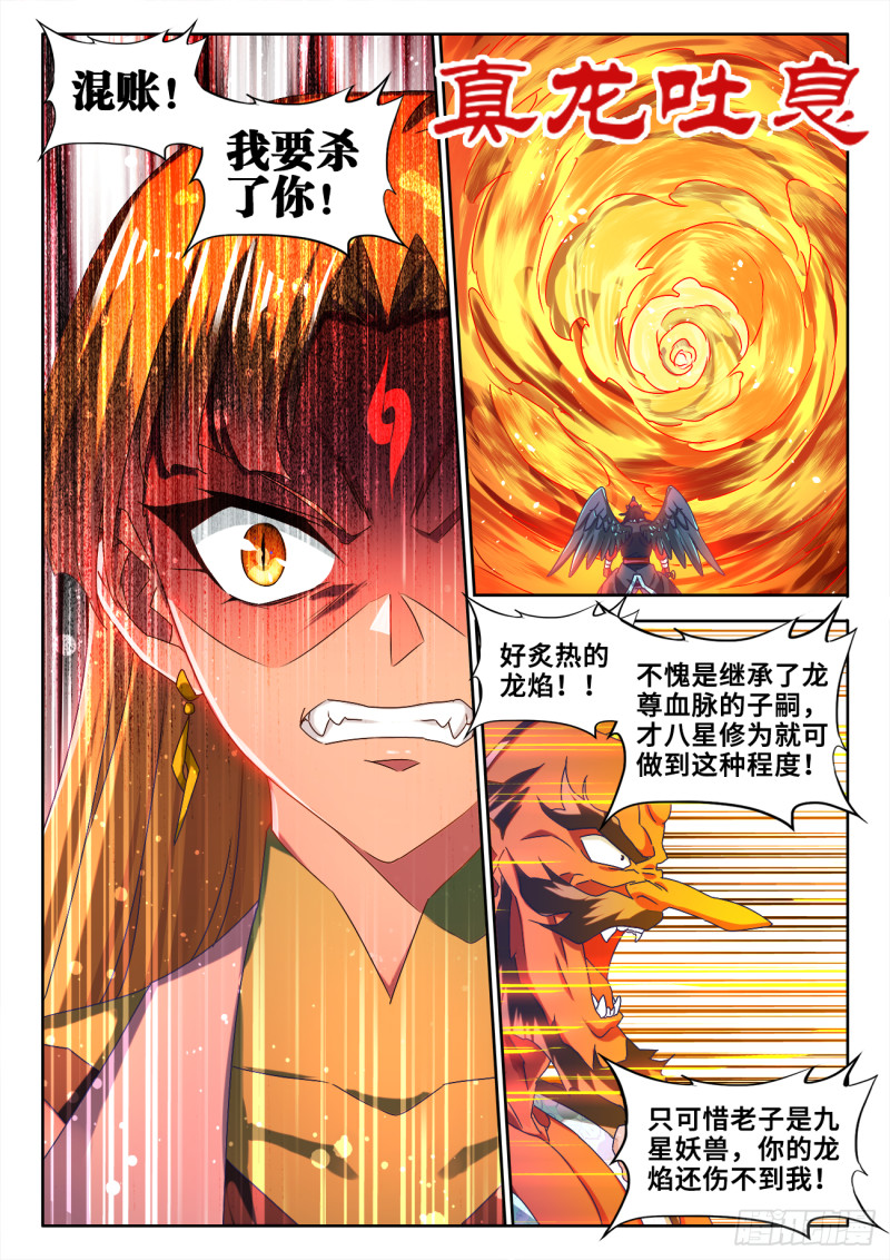 608、飞盘6