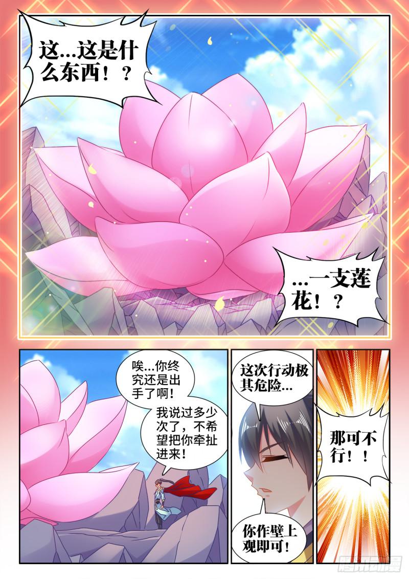 542、荷凌薇6