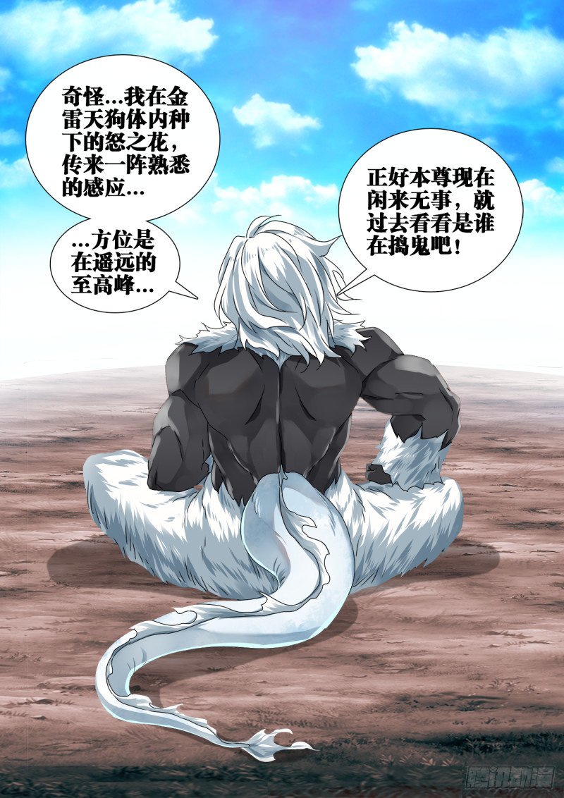 608、飞盘11