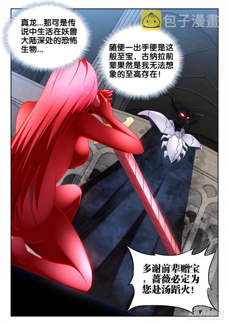 482、红角11