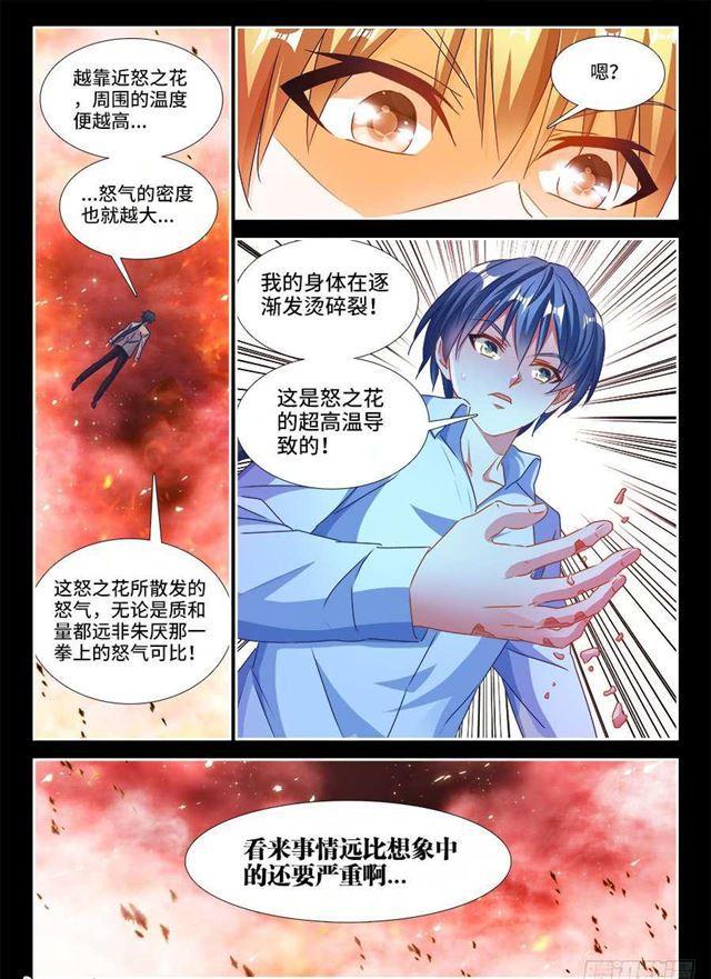 378、怒之花5