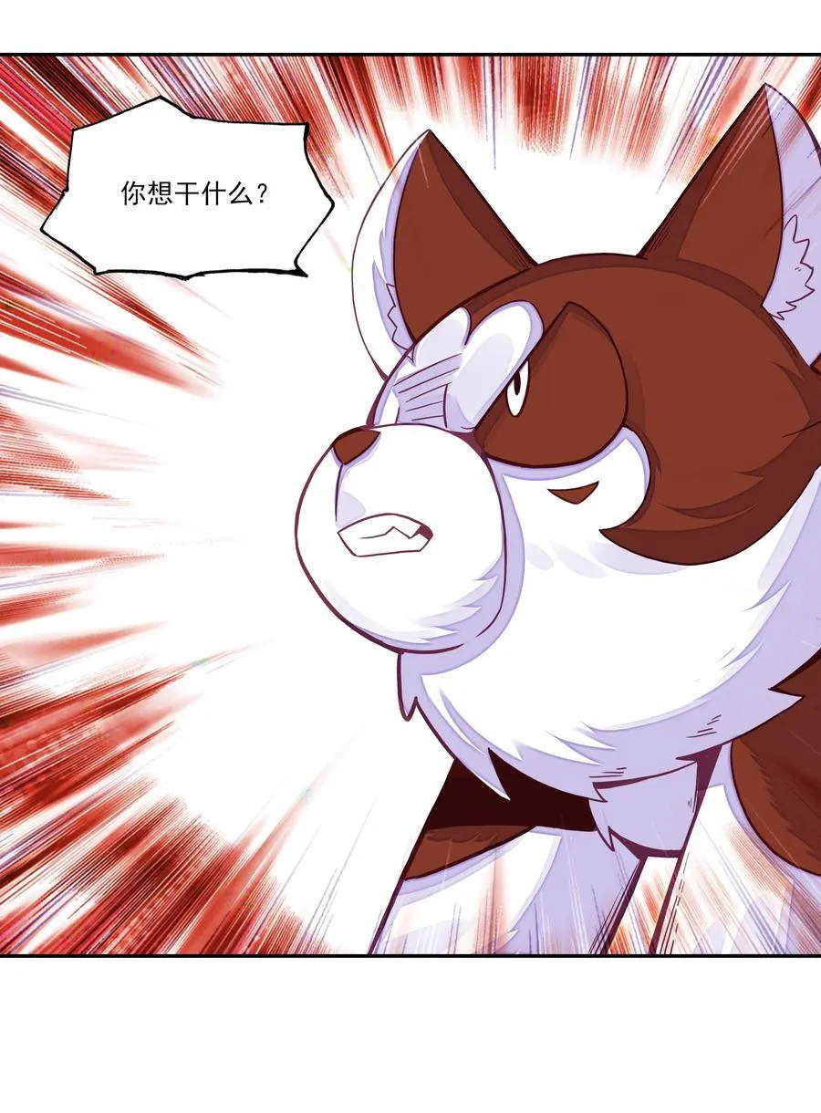 268.5 重视点11