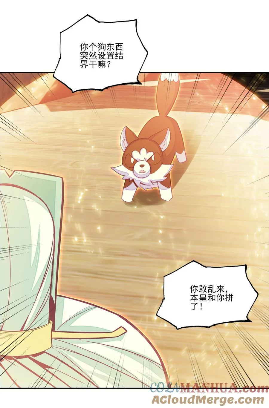 268.5 重视点6