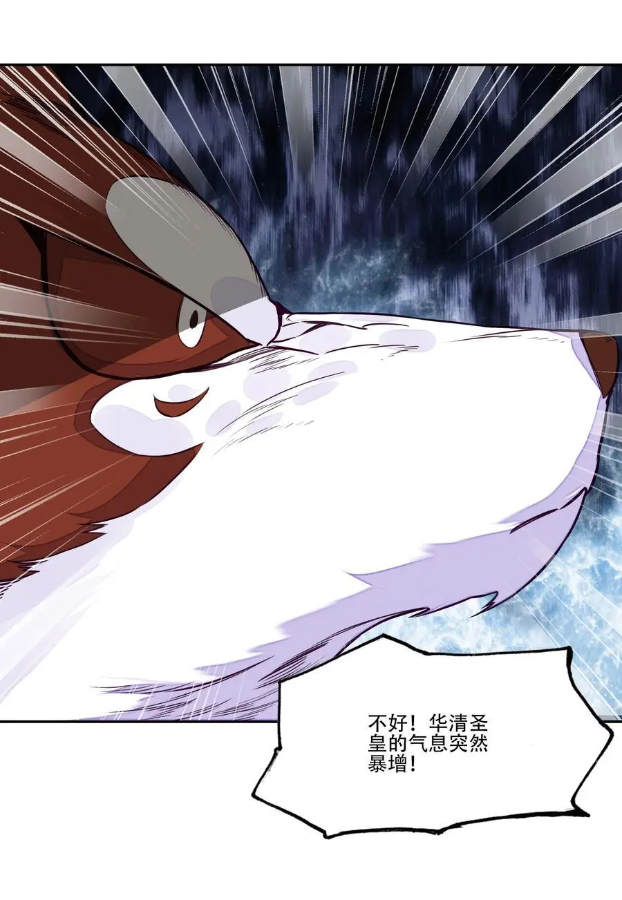 255 第250话意外41