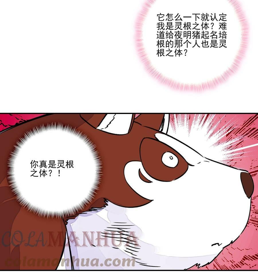 224 第219话 本王不同意这门亲事24
