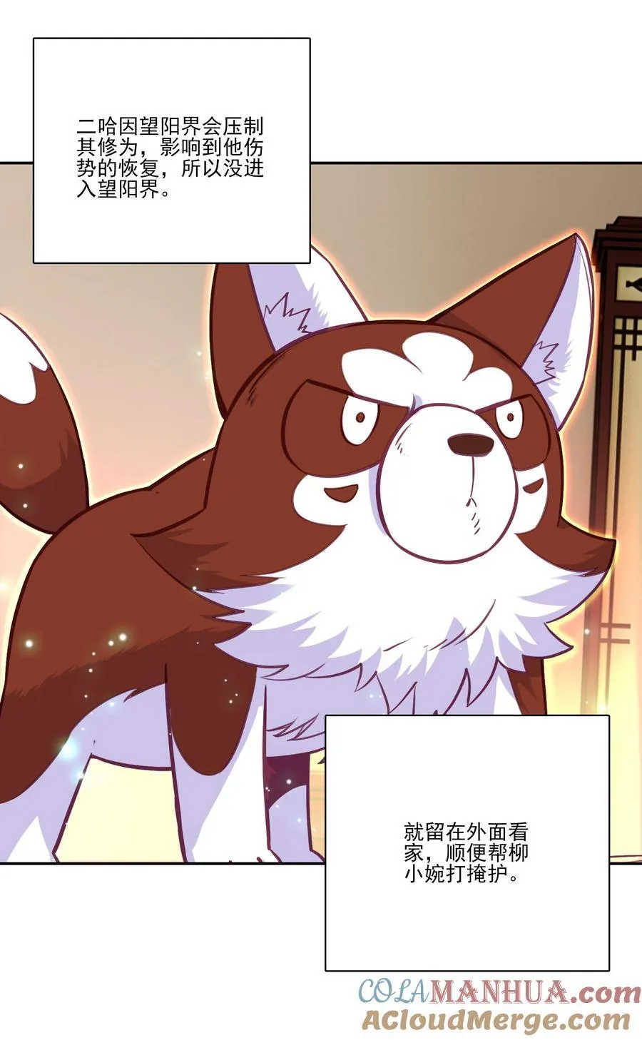渡劫 渡劫15