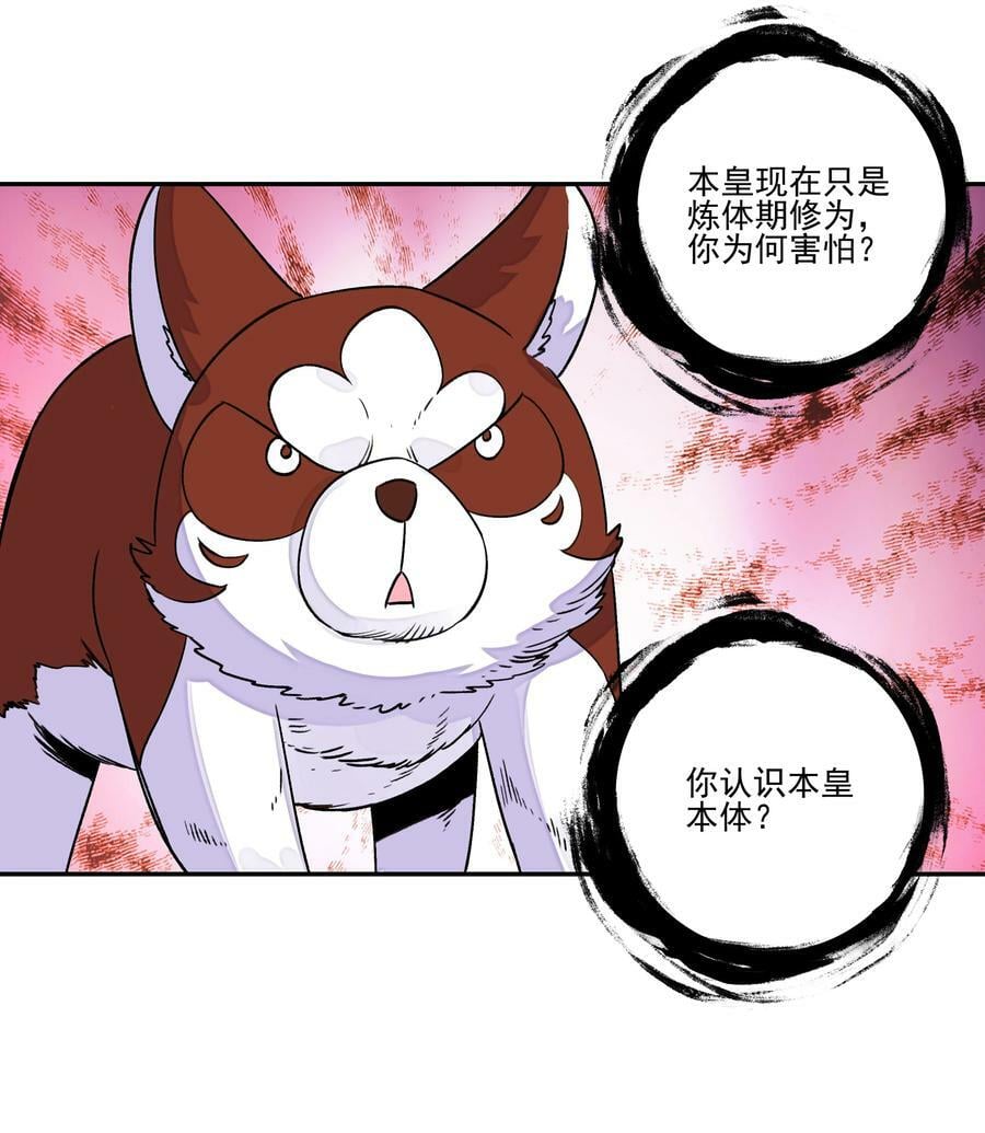 224 第219话 本王不同意这门亲事17