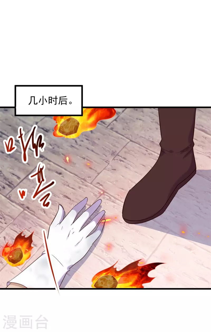 第204话 烟花22