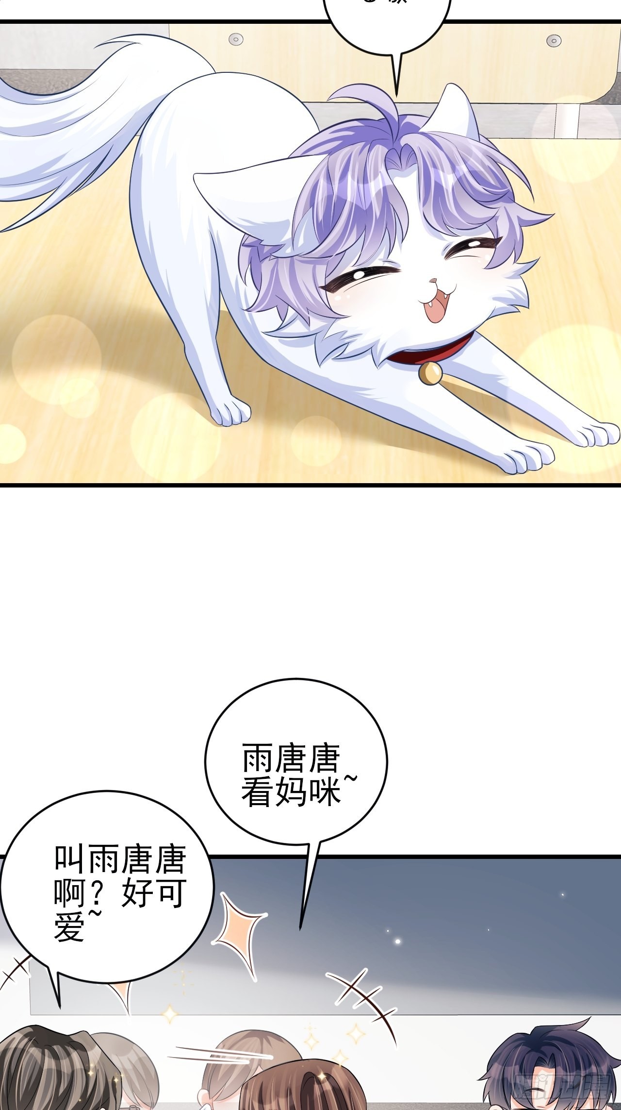 随机掉落的番外-猫咪8
