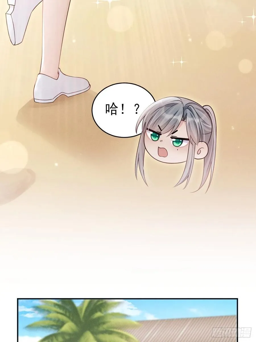 143.奇怪的“兔子”40