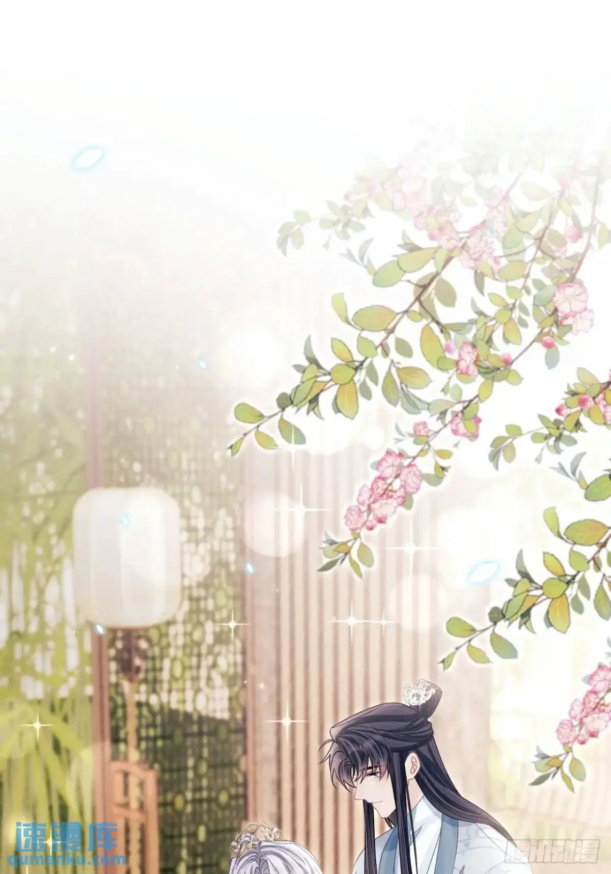 119.孔雀开屏79