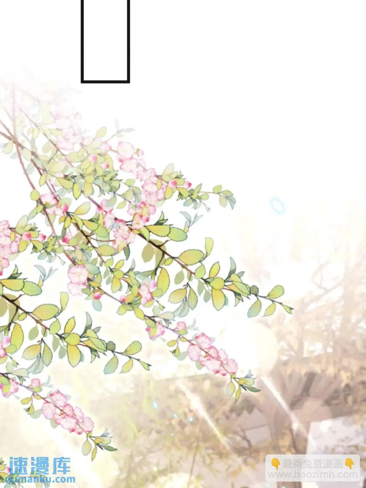119.孔雀开屏35