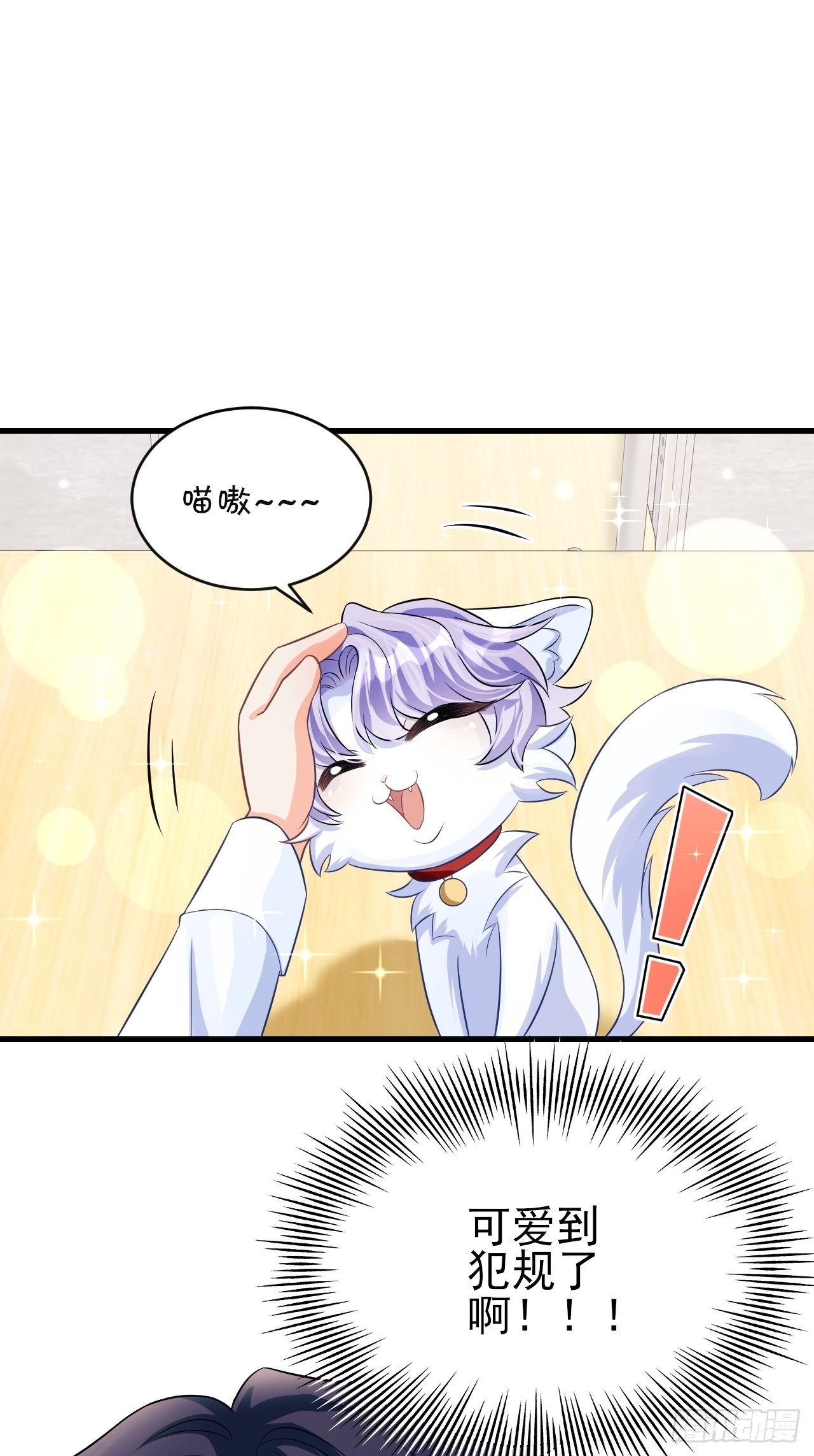 随机掉落的番外-猫咪16