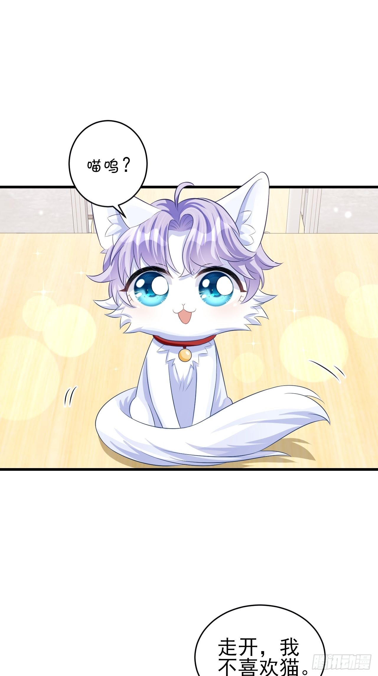 随机掉落的番外-猫咪10