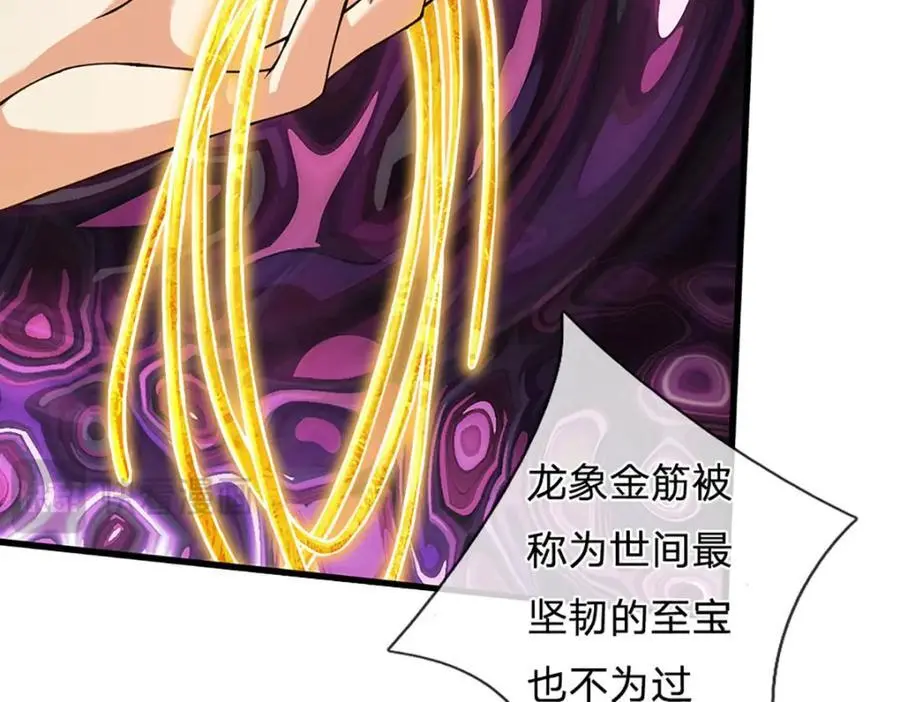 第284话 龙象金筋，坚韧至宝101