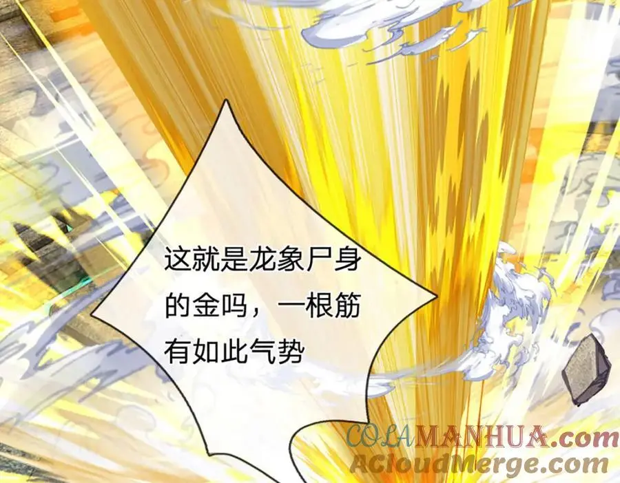第284话 龙象金筋，坚韧至宝88