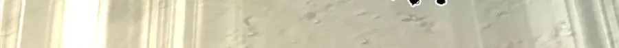 第316话 神王蛟龙，胜之不武103