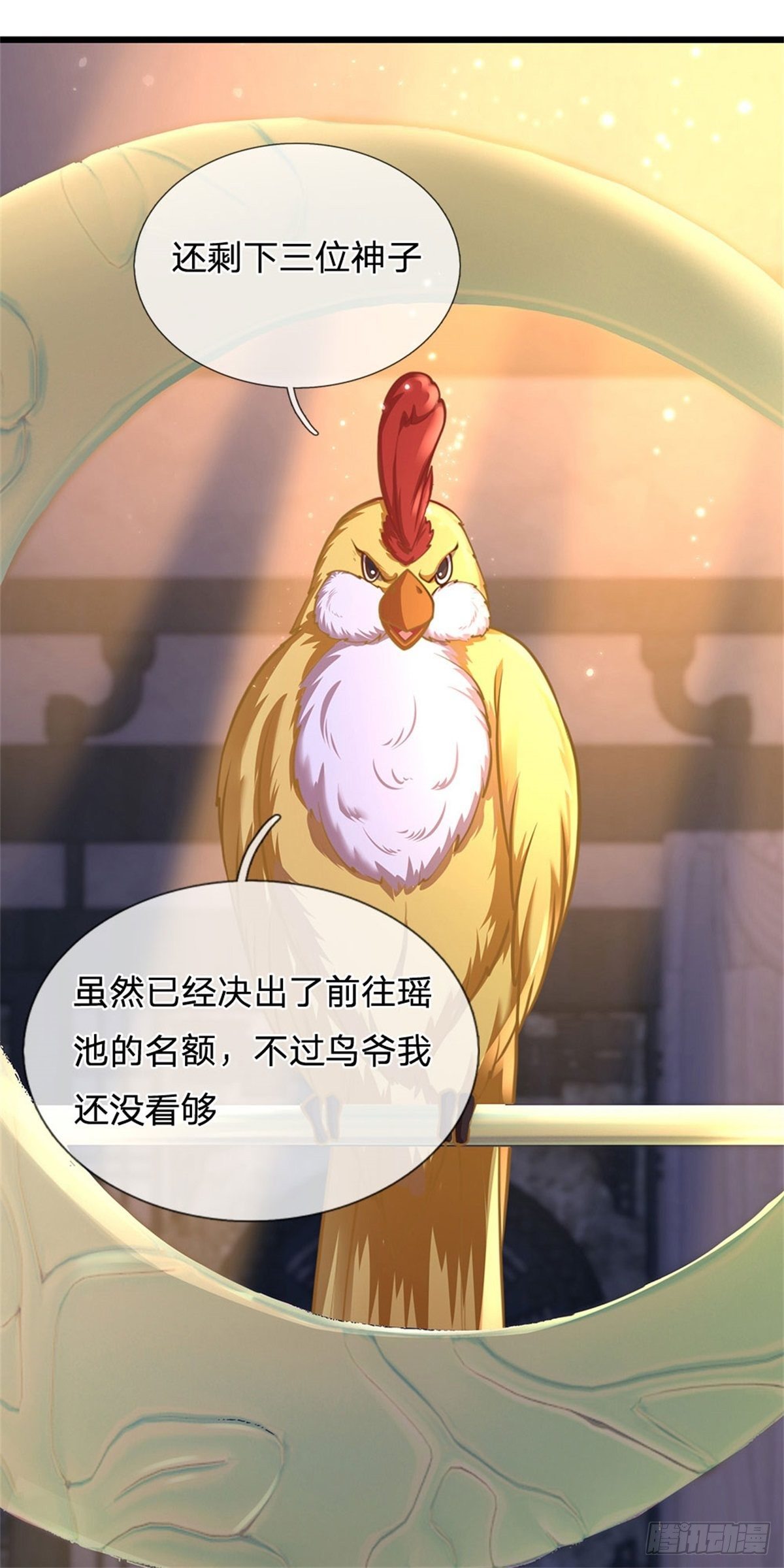 第35话 鸟爷我还没看够16